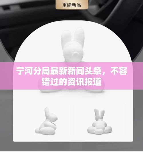 宁河分局最新新闻头条，不容错过的资讯报道