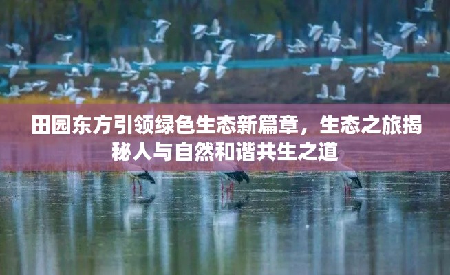 田园东方引领绿色生态新篇章，生态之旅揭秘人与自然和谐共生之道