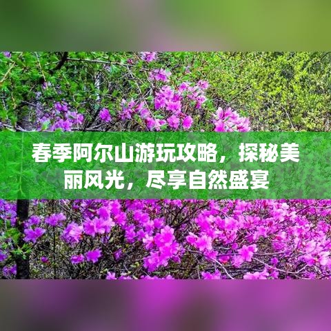 春季阿尔山游玩攻略，探秘美丽风光，尽享自然盛宴