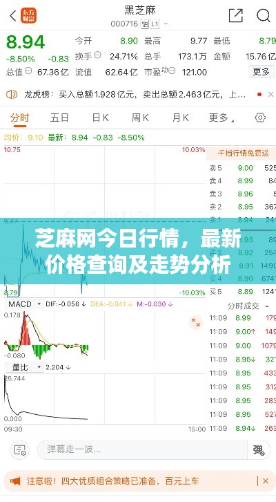 芝麻网今日行情，最新价格查询及走势分析