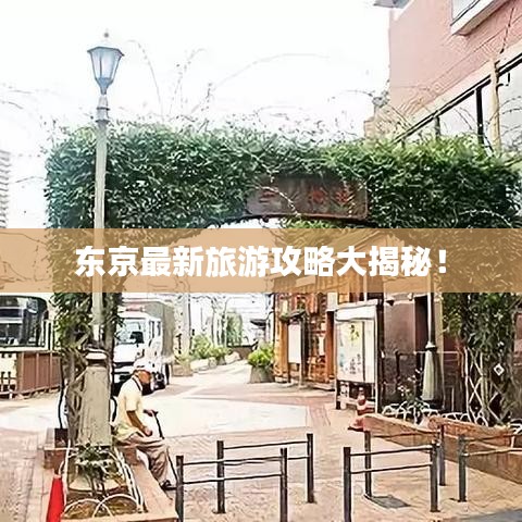 东京最新旅游攻略大揭秘！