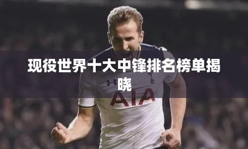 现役世界十大中锋排名榜单揭晓