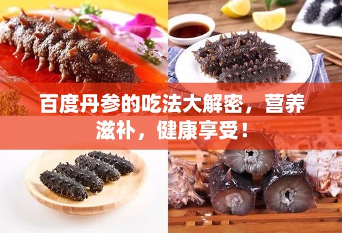 百度丹参的吃法大解密，营养滋补，健康享受！