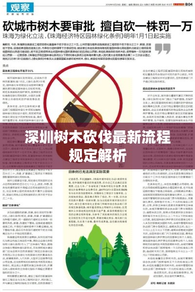 深圳树木砍伐最新流程规定解析