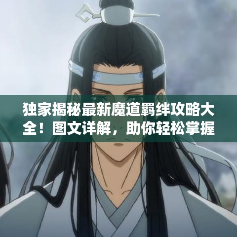 2025年6月11日