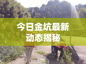 2025年6月12日 第4页