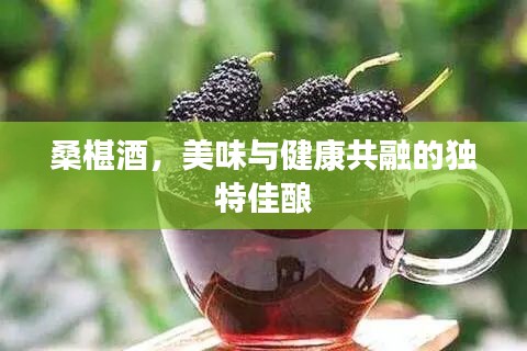 桑椹酒，美味与健康共融的独特佳酿