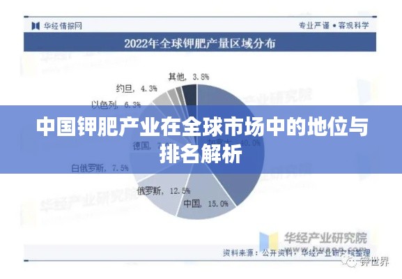 中国钾肥产业在全球市场中的地位与排名解析