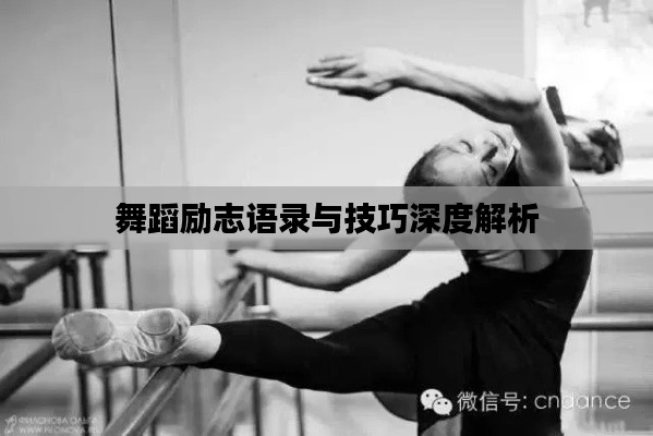 舞蹈励志语录与技巧深度解析