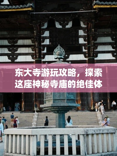 东大寺游玩攻略，探索这座神秘寺庙的绝佳体验！