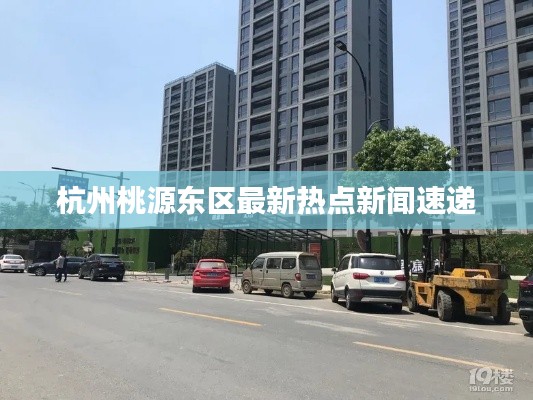 自作主张