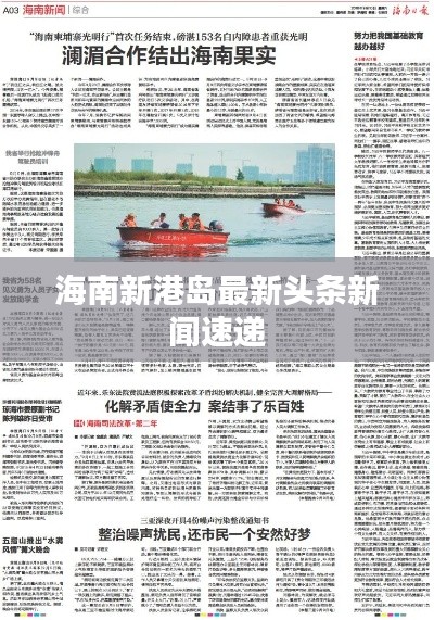 海南新港岛最新头条新闻速递
