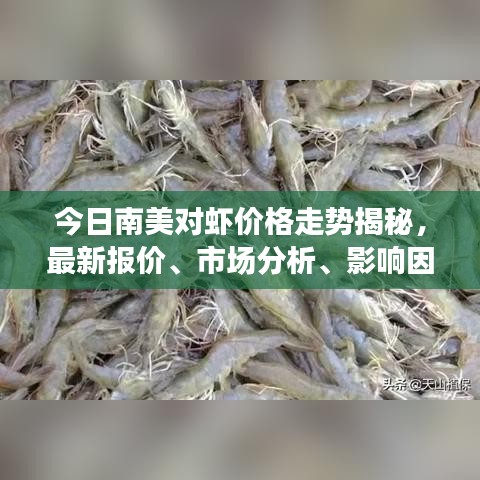 今日南美对虾价格走势揭秘，最新报价、市场分析、影响因素探讨
