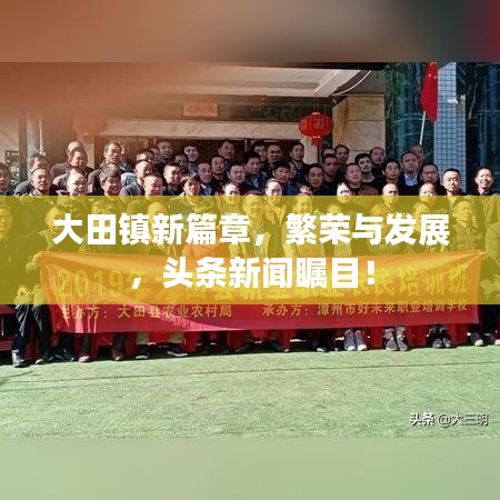 大田镇新篇章，繁荣与发展，头条新闻瞩目！
