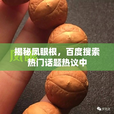 揭秘凤眼根，百度搜索热门话题热议中