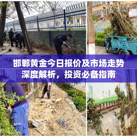 邯郸黄金今日报价及市场走势深度解析，投资必备指南