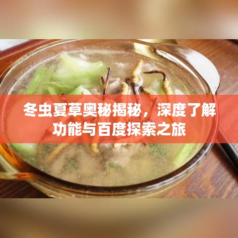 冬虫夏草奥秘揭秘，深度了解功能与百度探索之旅