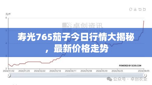 寿光765茄子今日行情大揭秘，最新价格走势