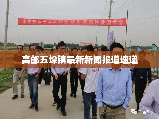 高邮五垛镇最新新闻报道速递