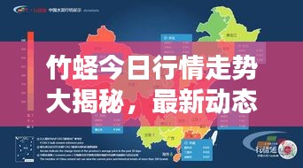 竹蛏今日行情走势大揭秘，最新动态一网打尽