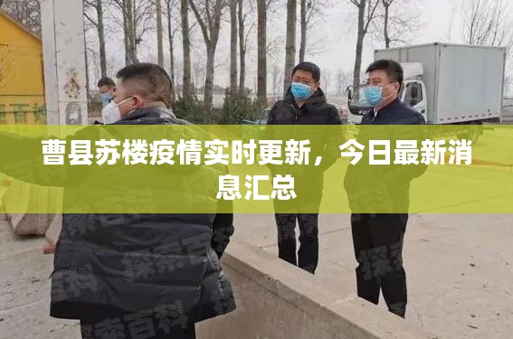 曹县苏楼疫情实时更新，今日最新消息汇总