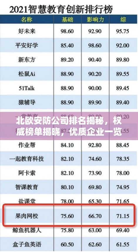 北欧安防公司排名揭秘，权威榜单揭晓，优质企业一览无遗