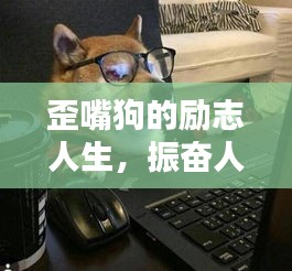 歪嘴狗的励志人生，振奋人心的名言警句