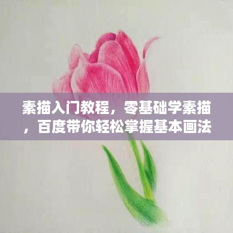 素描入门教程，零基础学素描，百度带你轻松掌握基本画法