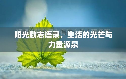 阳光励志语录，生活的光芒与力量源泉